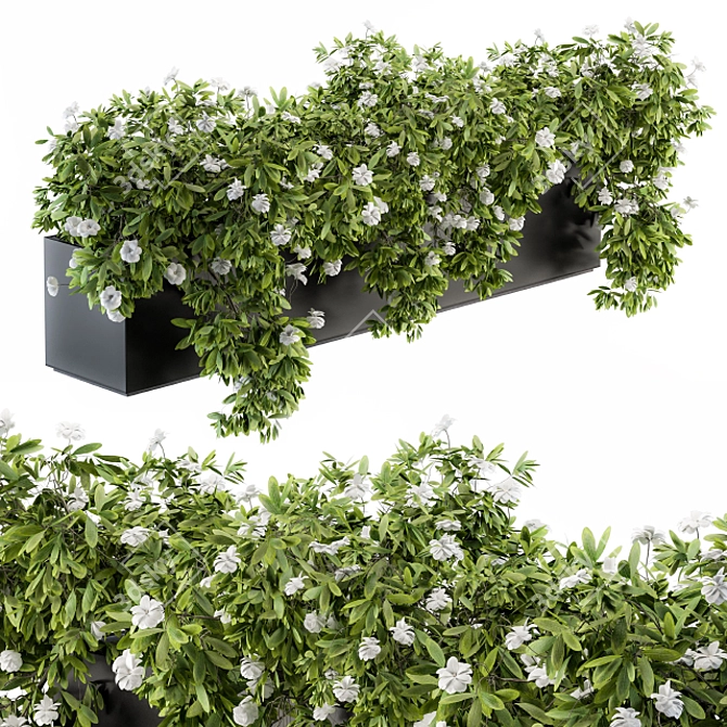 Ivy White Outdoor Plants - Set 149 3D model image 1