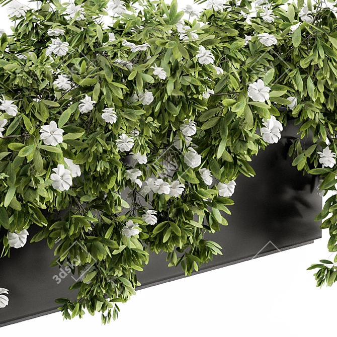 Ivy White Outdoor Plants - Set 149 3D model image 3