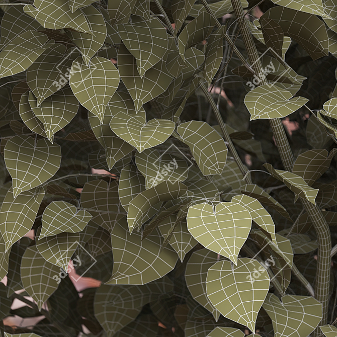 American Linden Tree Set - 4.8-5.0m 3D model image 4