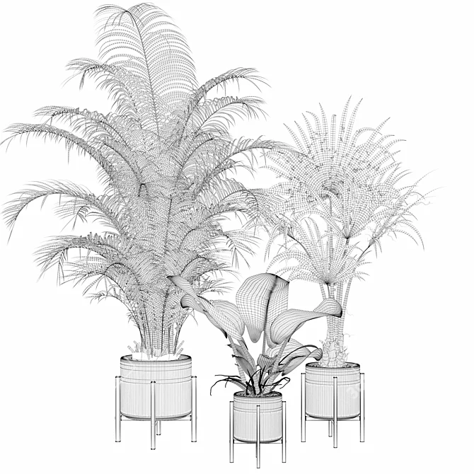 Green Oasis: Plants Collection 3D model image 2
