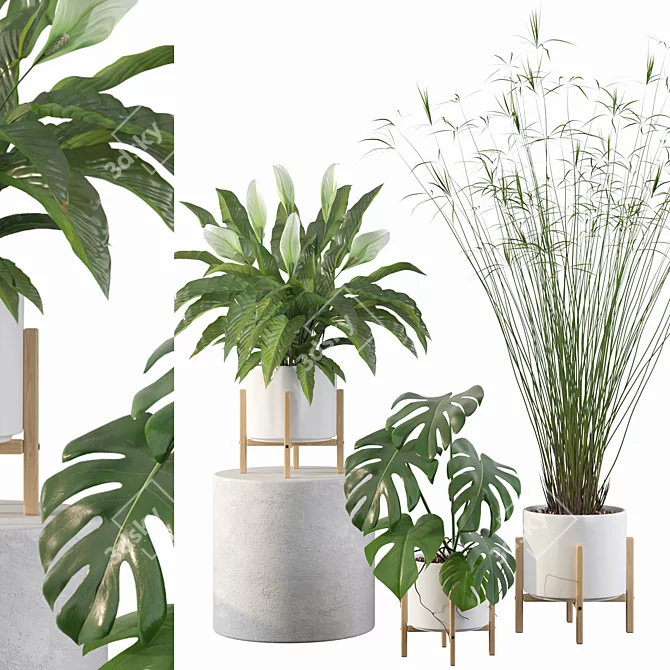 Lush Greenery Collection 087 3D model image 1