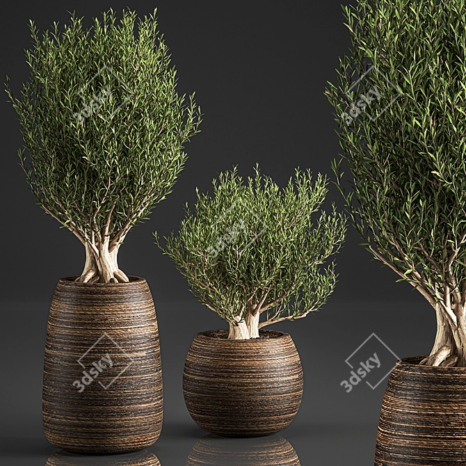 Exotic Plant Collection in Rattan Basket 3D model image 1