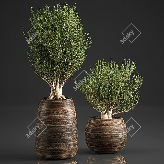 Exotic Plant Collection in Rattan Basket 3D model image 4