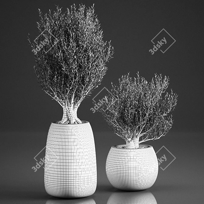 Exotic Plant Collection in Rattan Basket 3D model image 5