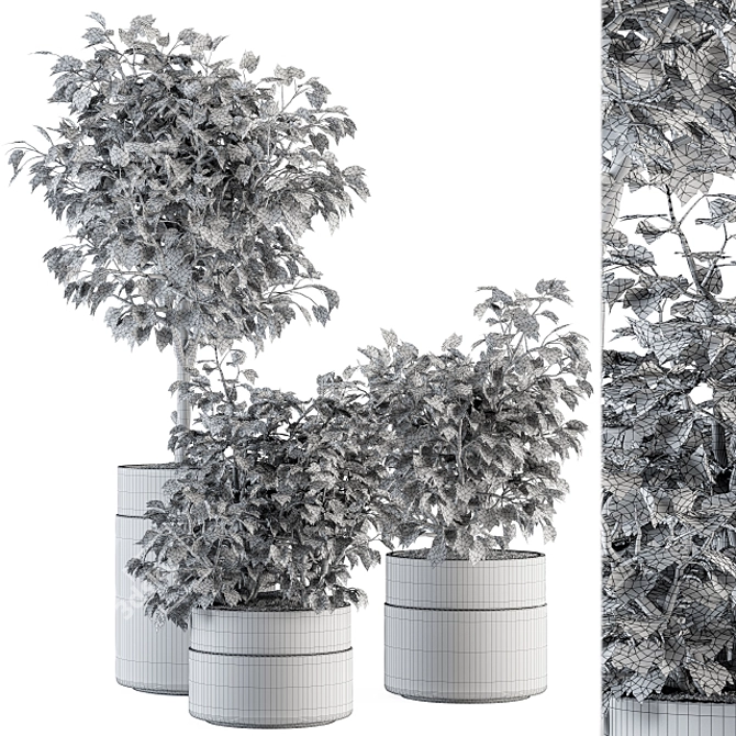 Green Oasis: Indoor Plant Set 3D model image 5