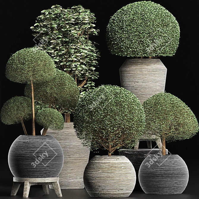 Exotic Houseplants Collection 3D model image 1