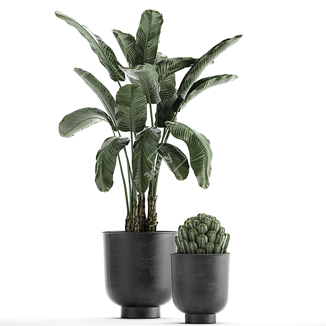 Tropical Plant Collection in Vig Planter 3D model image 2