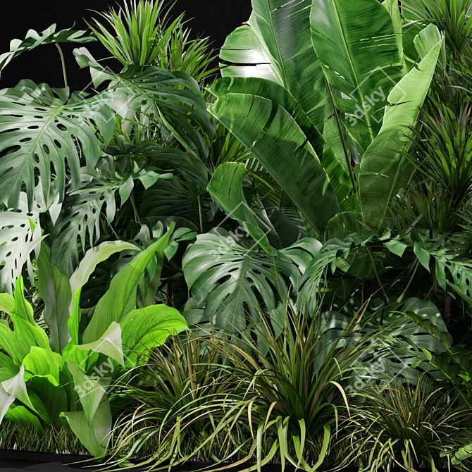 Variety of Plants: Collection 445 3D model image 4