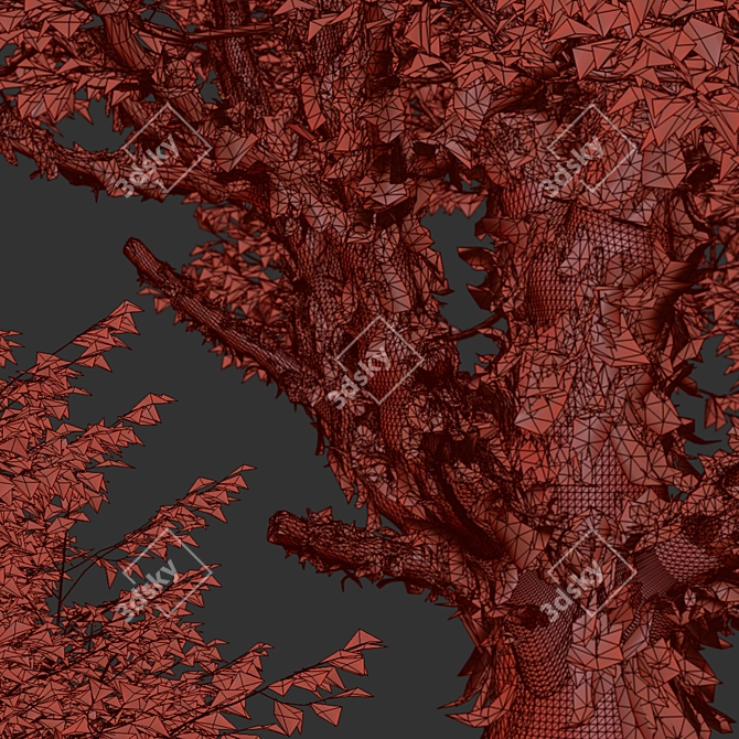 Exquisite Paperbark Maple Tree Pair 3D model image 6