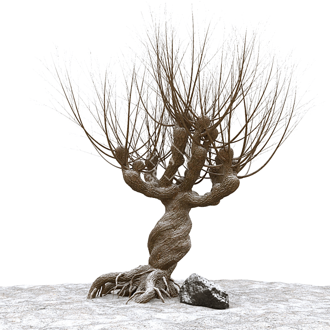 Rattlesnake Willow 3D Model 3D model image 3