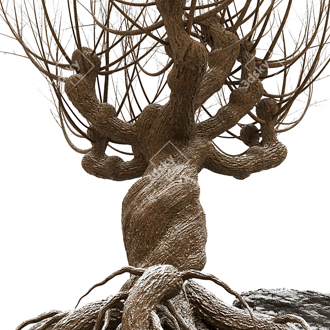 Rattlesnake Willow 3D Model 3D model image 4