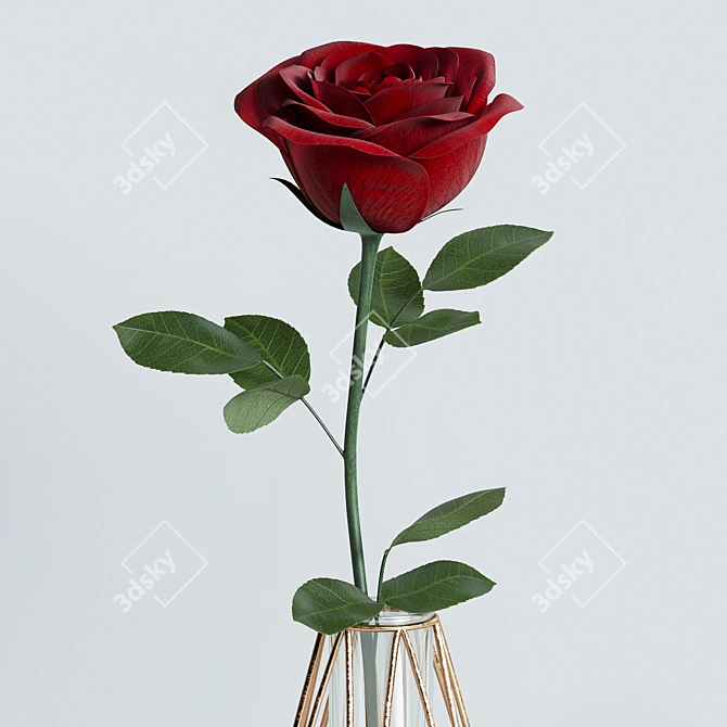 Elegant Red Rose Decor Set 3D model image 3