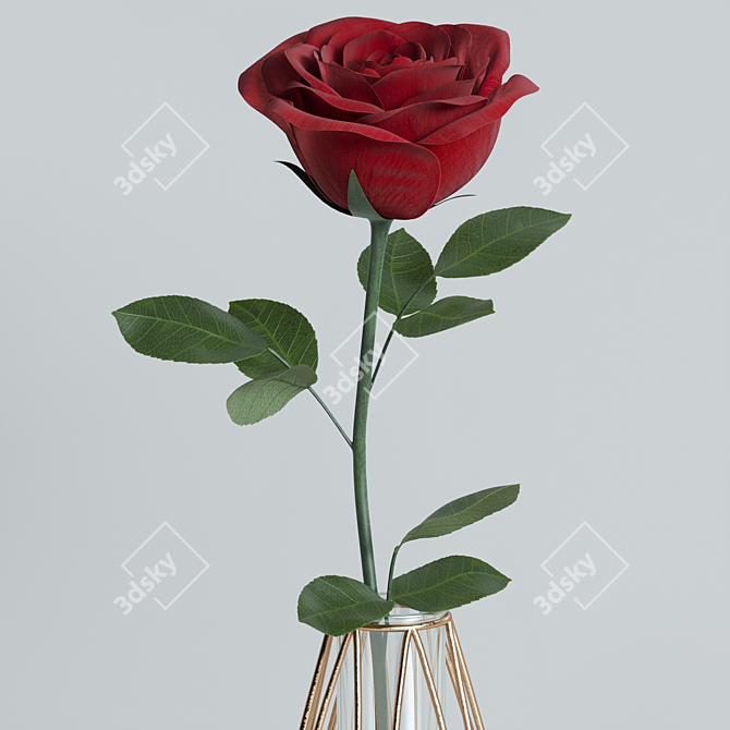 Elegant Red Rose Decor Set 3D model image 13