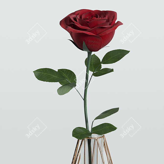 Elegant Red Rose Decor Set 3D model image 20