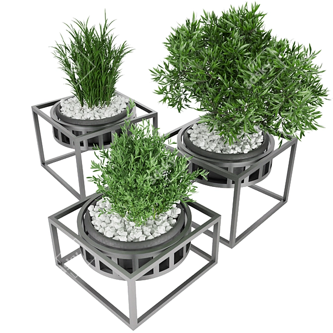 Botanical Treasures Vol. 97: Delicate & High-Quality Collection 3D model image 2