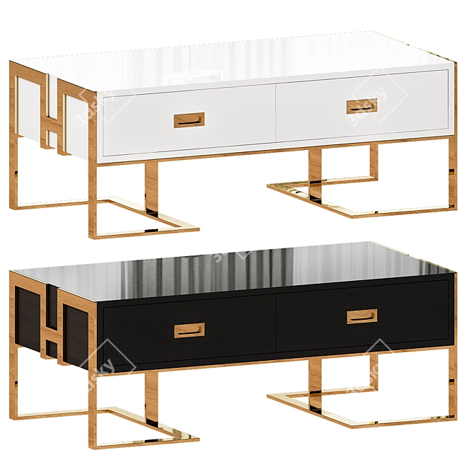 Jocise Contemporary White/Black Storage Coffee Table 3D model image 1
