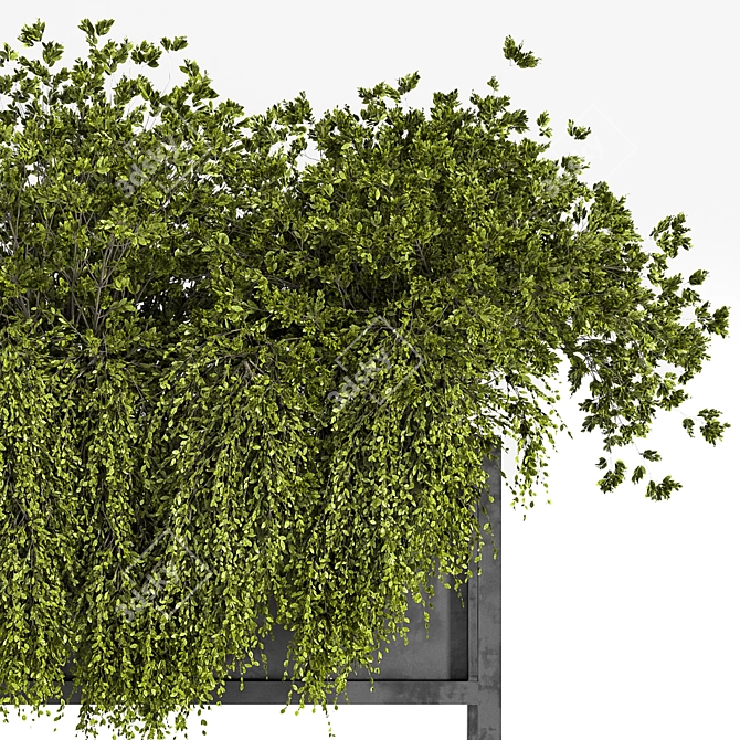 Exquisite Indoor Plant Set 3D model image 3