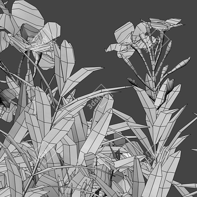 Versatile 3D Plant Bundle 3D model image 4