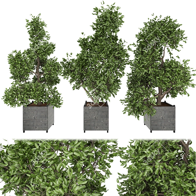 Plant Collection Vol 104: High-Quality Textures & Materials 3D model image 1