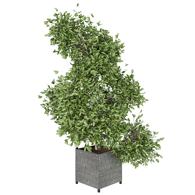 Plant Collection Vol 104: High-Quality Textures & Materials 3D model image 3