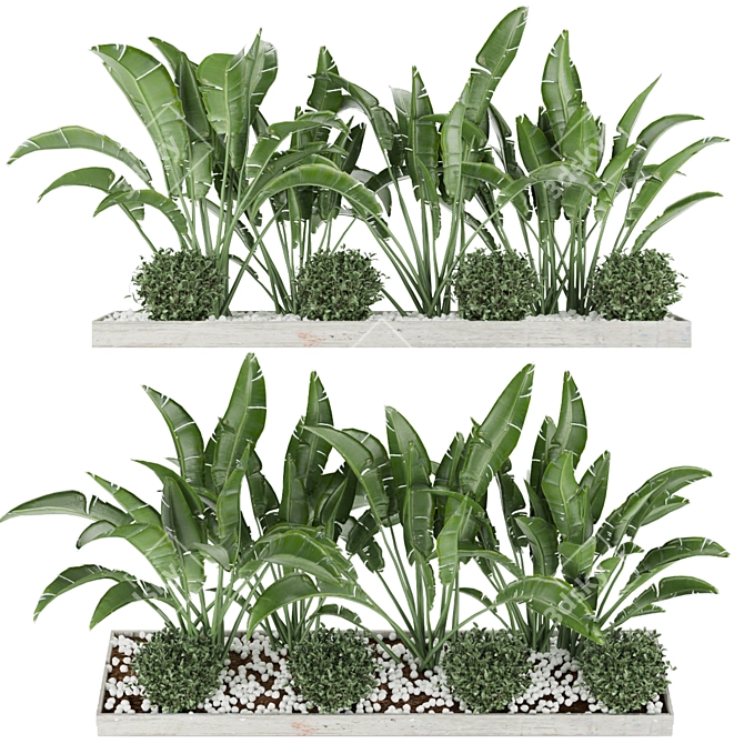 Ultimate Plant Collection Vol. 109 3D model image 1