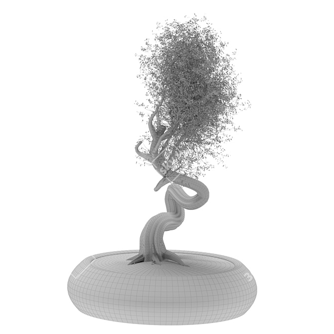 2015 Bonsai Tree Sculpture 3D model image 5