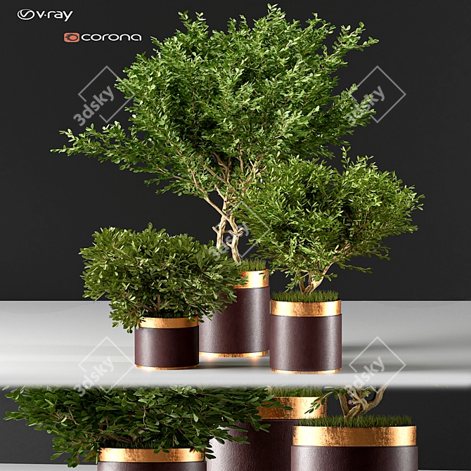 Modern Indoor007 Plant Décor 3D model image 1