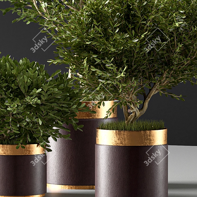 Modern Indoor007 Plant Décor 3D model image 3