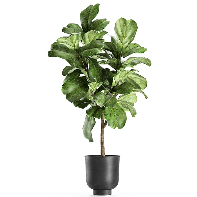 Exotic Plant Collection in Vig Planter 3D model image 4