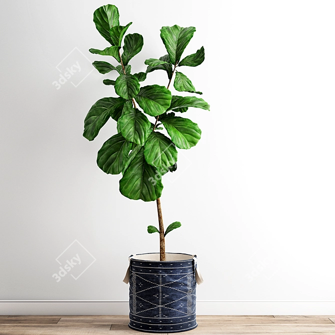 Minimalist Polygonal Ficus Tree 3D model image 1