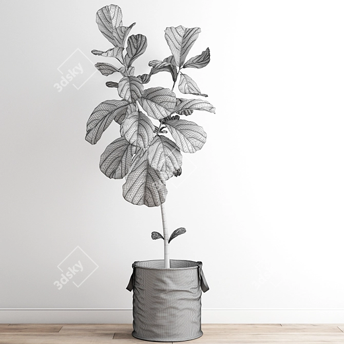 Minimalist Polygonal Ficus Tree 3D model image 4