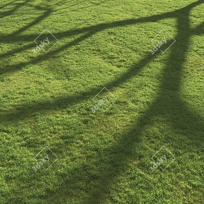 Scattered Grass Board - 14 Patterns 3D model image 1