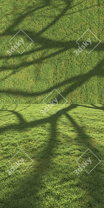 Scattered Grass Board - 14 Patterns 3D model image 3