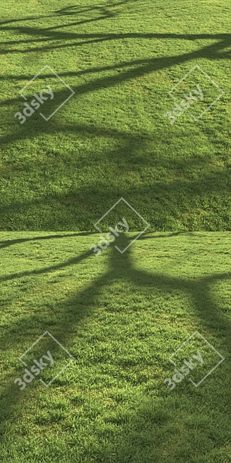 Scattered Grass Board - 14 Patterns 3D model image 4