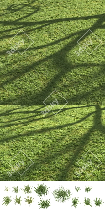 Scattered Grass Board - 14 Patterns 3D model image 5