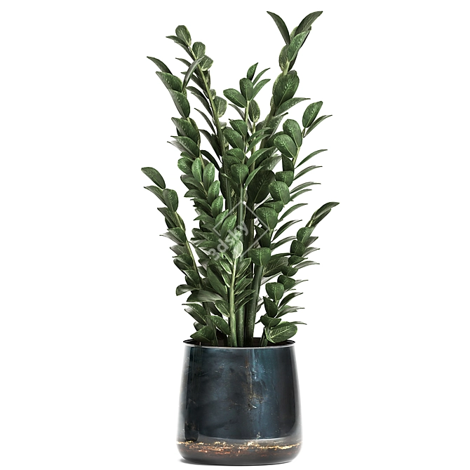 Tropical Exotic Plant Collection 3D model image 4
