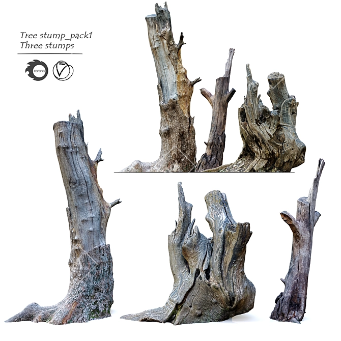 Natural Wood Tree Stump Set 3D model image 1