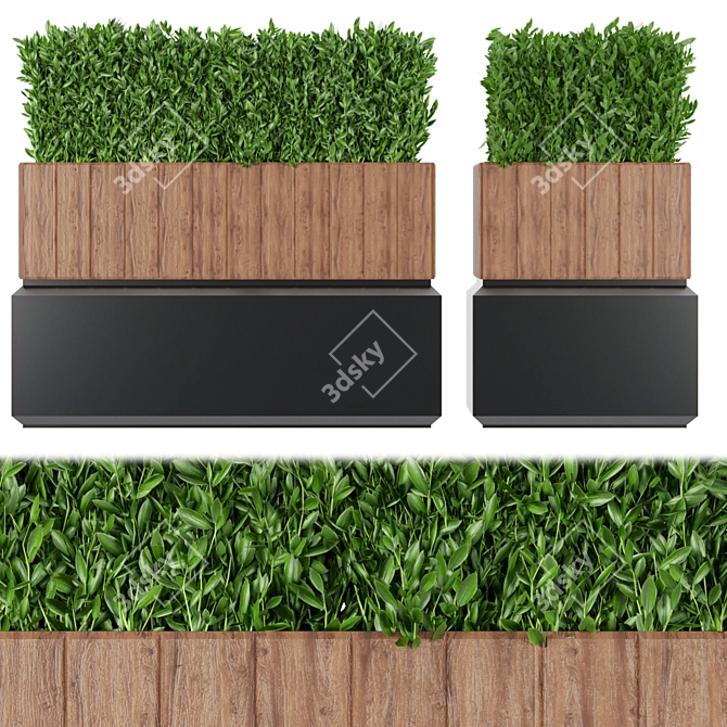 Lush Green Plant Collection Vol. 120 3D model image 1