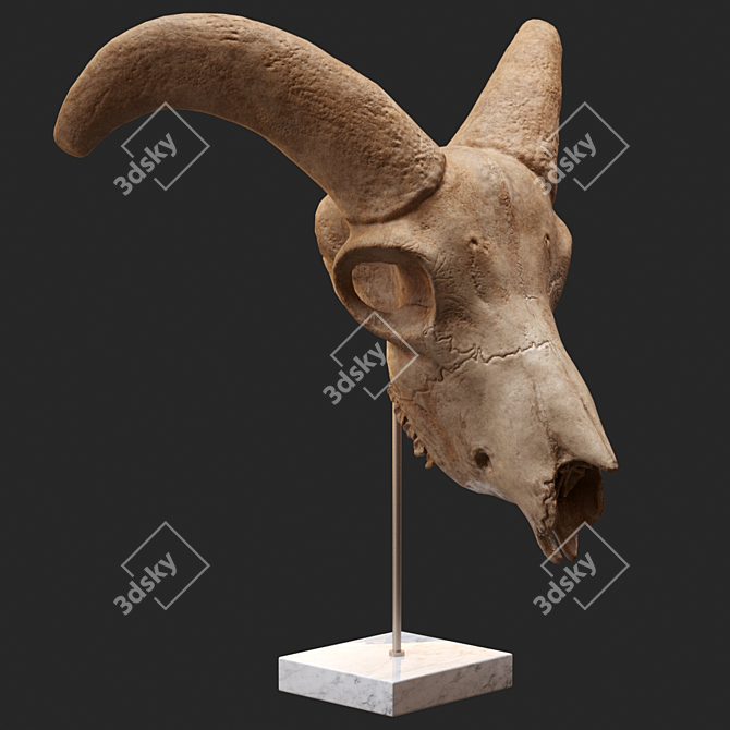 Eerie Goat Skull Décor 3D model image 3