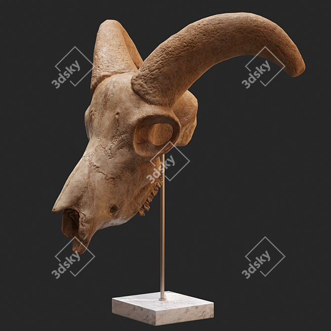 Eerie Goat Skull Décor 3D model image 4