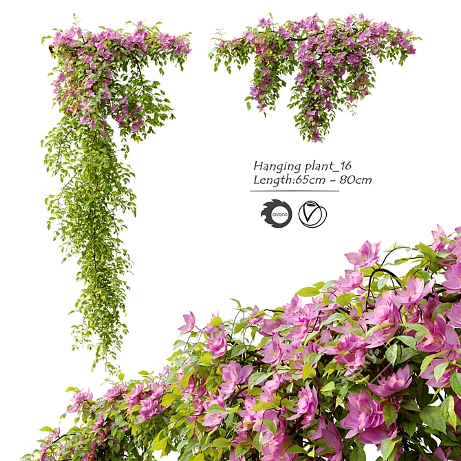 Double Hanging Plant Set 3D model image 1