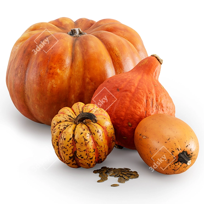 Fall Harvest Pumpkin Set 3D model image 1