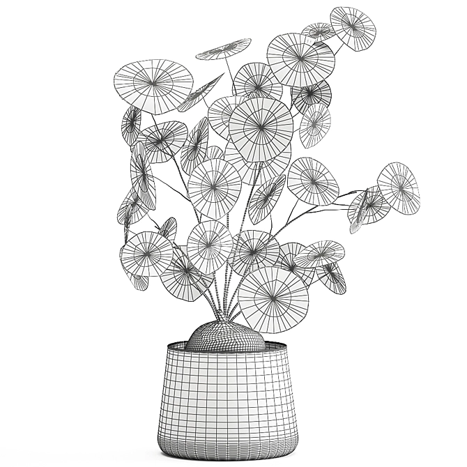 Exotic Black Pot Plant Collection 3D model image 5