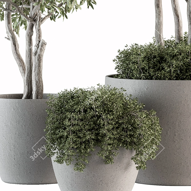 182-Piece Outdoor Plant Set: Tree in Pot 3D model image 2