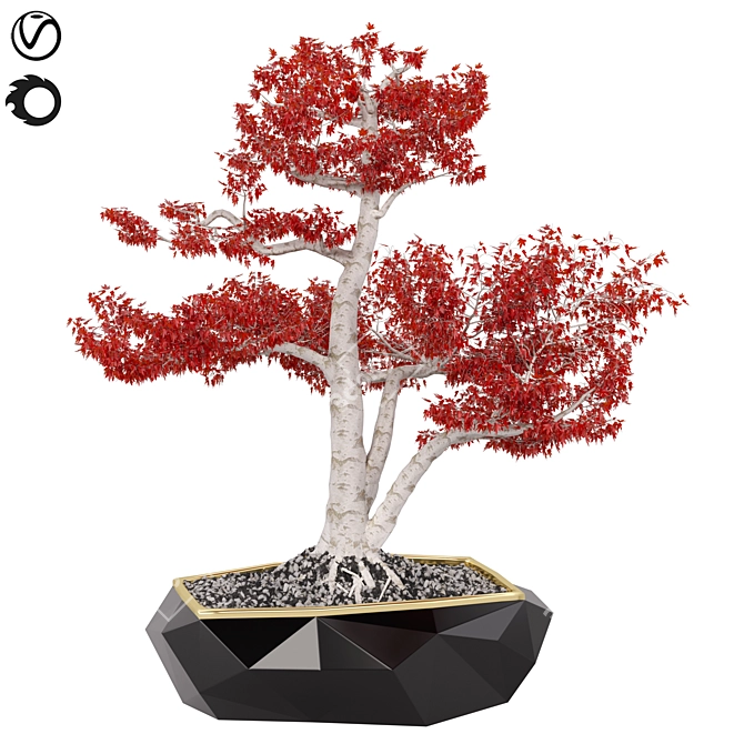 Compact Red Maple Tree 3D model image 1