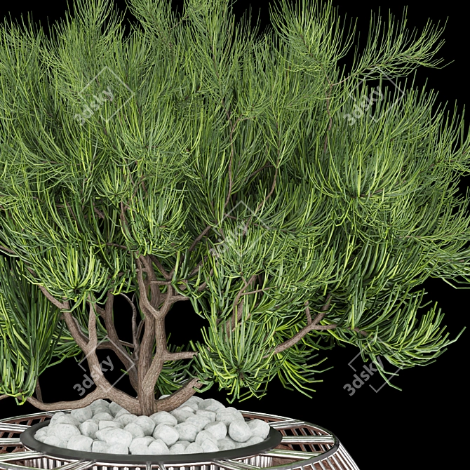 Premium Plant Collection: Volume 136 3D model image 3
