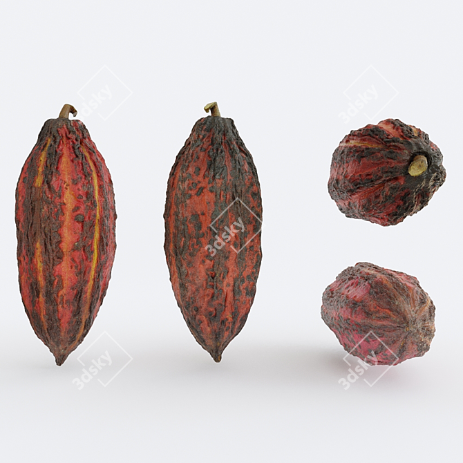 Cocoa v3 Photogrammetry: High-Quality 3D Models 3D model image 1