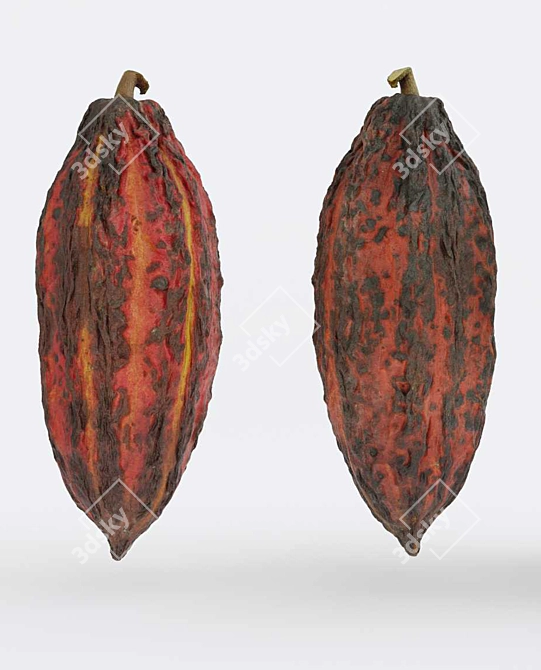 Cocoa v3 Photogrammetry: High-Quality 3D Models 3D model image 3