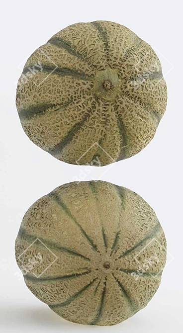 Melon Photogrammetry: High-Quality 3D Model & PBR Textures 3D model image 5