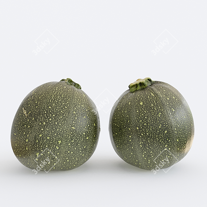 Zucchini 3D Model Kit 3D model image 2